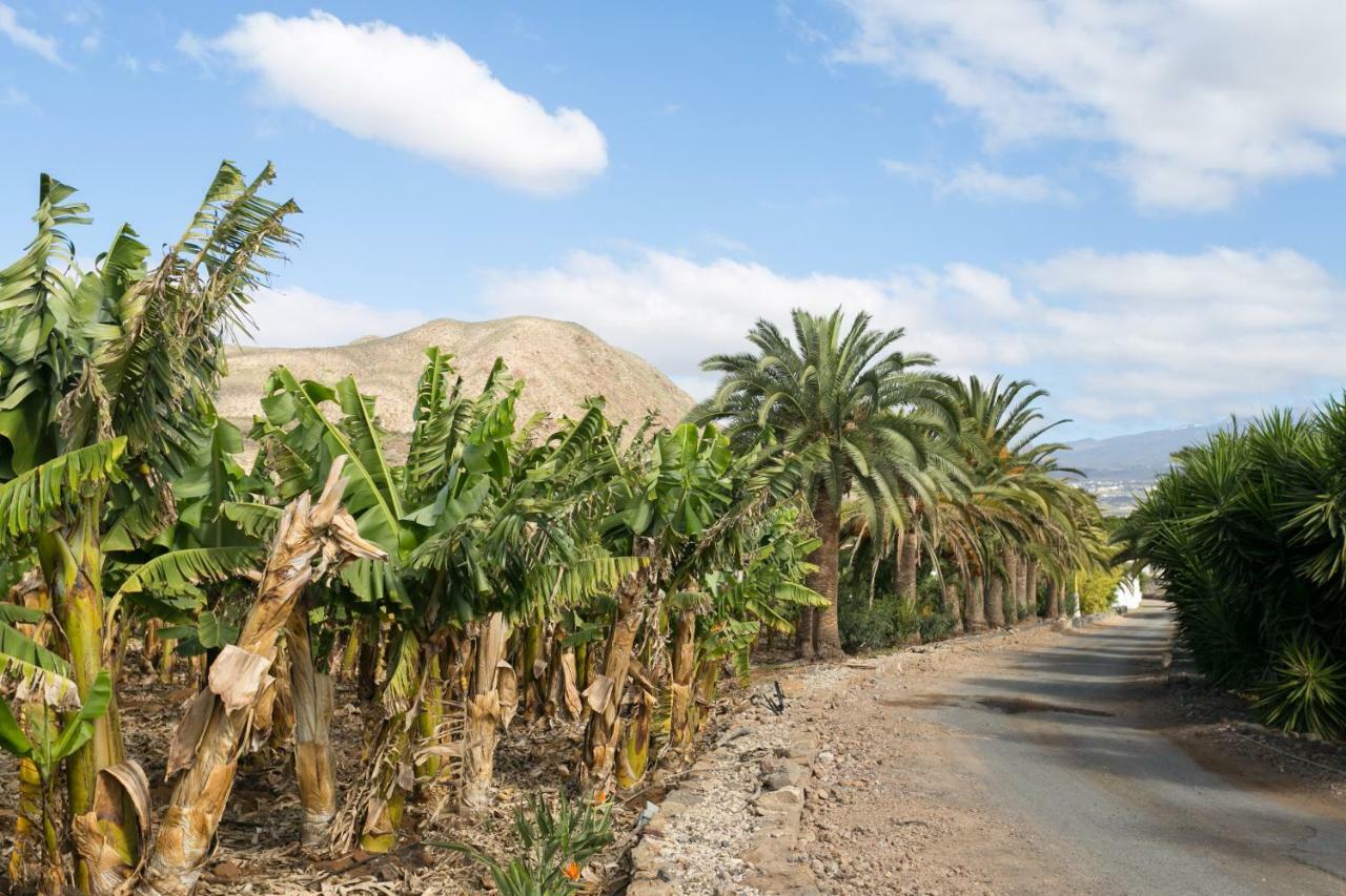 Casita 1, Caserio De Guaza Palm-mar Kültér fotó