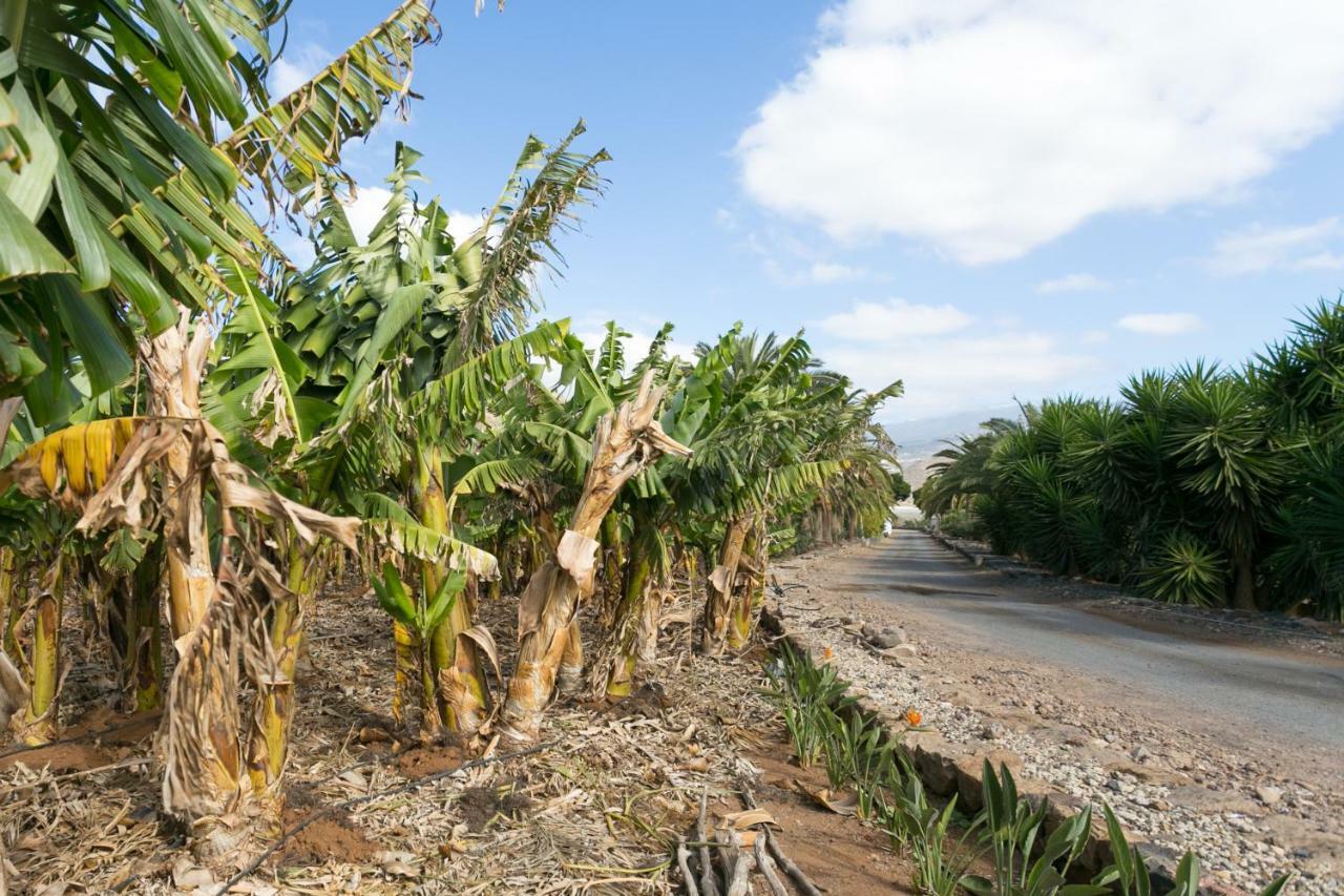 Casita 1, Caserio De Guaza Palm-mar Kültér fotó