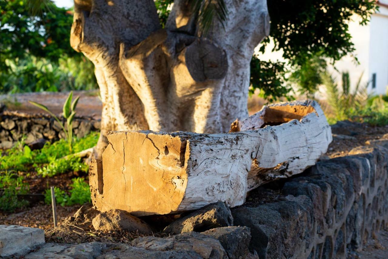 Casita 1, Caserio De Guaza Palm-mar Kültér fotó
