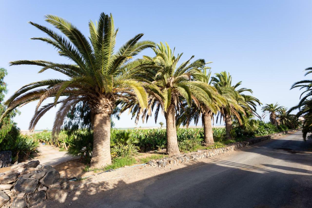 Casita 1, Caserio De Guaza Palm-mar Kültér fotó