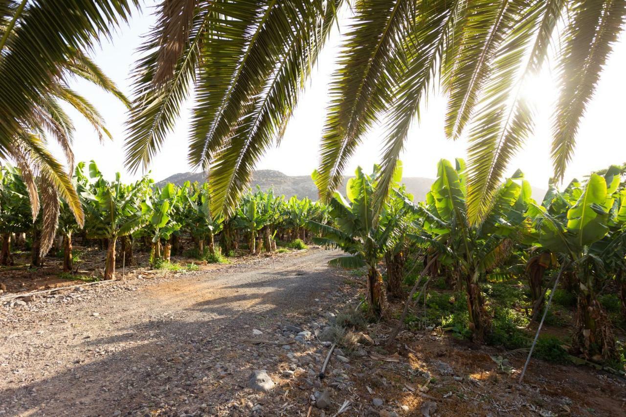 Casita 1, Caserio De Guaza Palm-mar Kültér fotó